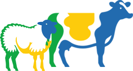 Ruminant Ürünleri